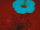 BELTRAN, John - Sunrise & The Life We Live - Vinyl (2xLP)