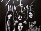 pink floyd doppel picture disc