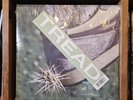 Ross From Friends - Tread Vinyl 2xLP Clear