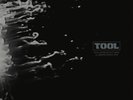 Tool – Paul D'Amour Outtakes (aka Aenima Demos 1995) | LP Vinyl Brand New Sealed