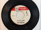 EAST SIDE KIDS Little Bird  VALHALLA Records 672 - RARE LA Garage Rock