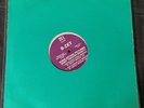 B-Zet With Darlesia – Everlasting Pictures (1995 Promo Double Pack 12