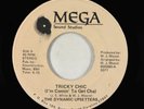 Modern Funk/Sweet Soul 45 - Dynamic Upsetters - Tricky Chic - Mega