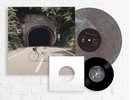 NEW Backseat Lovers When We Were Friends On Smog Color Vinyl And 7” EP /3000 LP