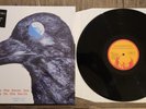 Strawberry Path When The Raven Has Come To Earth LP Phoenix ASHLP3034 2011 Psych