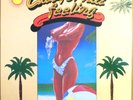The Beach Boys Carl & The Passions California Feeling 1985 US 12