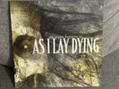 As I Lay Dying An Ocean Between Us LP Olive Green Marble Played Once