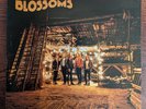 Blossoms - Blossoms - 12
