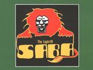 Cedric 'Im' Brooks - Light Of Saba (Vinyl LP - 2026 - WW - Original)