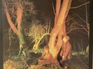 ECHO AND THE BUNNYMEN CROCODILES LP vinyl RARE ORIGINAL 1980 UK PRESS KODE 1 EX
