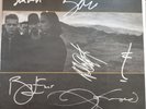 U2 The Joshua Tree Zimbabwe LP signed by Bono, Adam, Eno, Lanois,  Corbjin W/COA