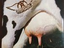 Get a Grip by Aerosmith (Record, 2017)