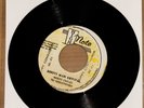 Mikey Dread Revolutionaries Roots Man Revival High Note Jamaica 7