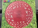 Kasabian. Happenings LP. Blood Records Trippy Shroom Picture Disc. 310/2000 Mint
