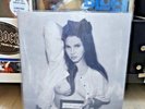 Lana Del Rey – Did You Know LP 2 x Vinyl, Explicit Alternative Artwork_near mint