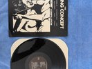 blasting concept #1 vinyl punk rock  sst13 black flag minutemen meat puppets