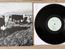 Mark Kozelek ‎– The Finally LP - Vinyl-LP - Red House Painters/Sun Kil Moon 2008
