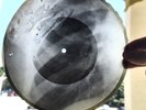 Rare Soviet X-Ray Bone RecordOriginal USSR Rib Disc – VintageMusic Artifact