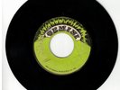 #174 RARE ROOTS 45 GEMINI LABEL THE SOULITES 