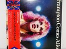 Peter Frampton Frampton Comes Alive 2x12