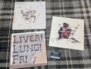Frightened Rabbit - Midnight Organ Fight - 2013 Record Store Day double vinyl