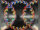 Tool Lateralus 2LP Vinyl Picture Disc Limited Edition Gatefold 614223116013