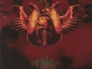 NILE - Annihilation Of The Wicked (20th Anniversary Edition) - Vinyl (2xLP)