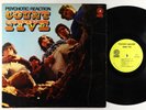Count Five - Psychotic Reaction LP - Double Shot Mono