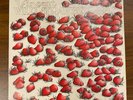 Rare ORIGINAL LP - VINCENT - Wild Strawberries - Acid Archives Record Album