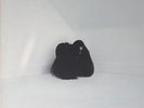 Chelsea Wolfe - Hiss Spun (LP) (Mint (M)) Vinyl