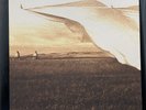 Neil Young Prairie Wind Vinyl Record Album 2005 Classic Quiex Audiophile 2 LP