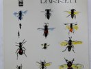 SYD BARRETT BARRETT ODEON OP80173 1LP