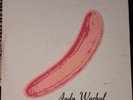 The Velvet Underground & Nico 12