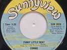 45 FUNKY / CONNIE / FUNKY LITTLE BEAT / SUNNYVIEW / LISTEN