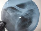 BEATLES LET IT BE X-Ray USSR Record Roentgen Bone Rib Music Vinyl