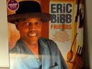 Friends by Bibb, Eric (Record, 2010)