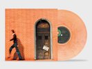 RINO GAETANO - Ingresso libero (2026) LP marbled Vinyl