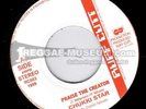 Chukki Star / Tony Roots - Praise The Creator [Ruff Cutt 7