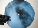 JIMI HENDRIX FOXEY LADY X-Ray USSR Record Roentgen Bone Ribs Music Vinyl