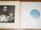 Muddy Waters After the Rain Lp record 