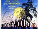 Sondheim INTO THE WOODS LP SIGNED by 19 