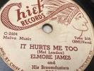 Elmore James and His Broomdusters It Hurts 