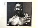 Muddy Waters Blues Band / After The Rain / 