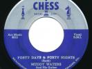 MUDDY WATERS - Forty Days & Forty Nights / 